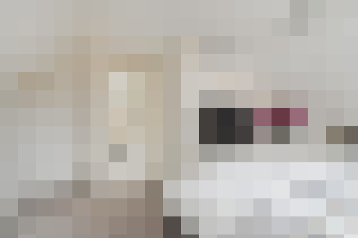  / #58