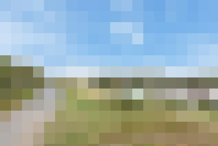  / #74