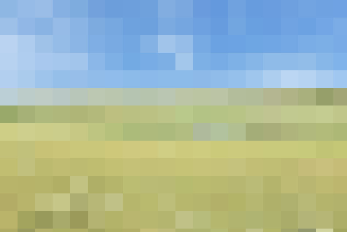  / #64