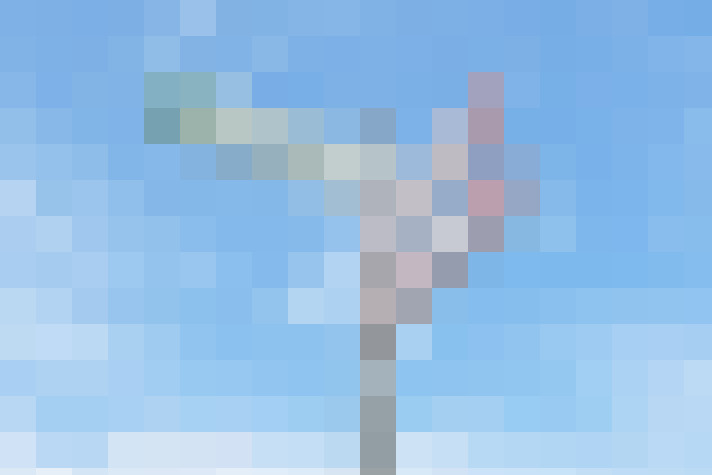  / #73