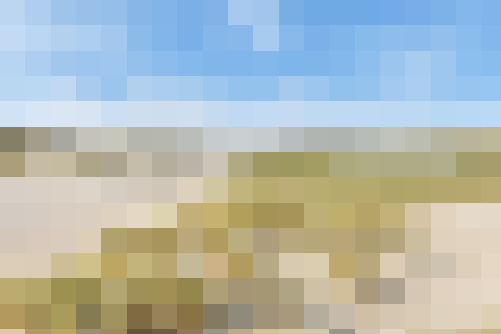  / #68