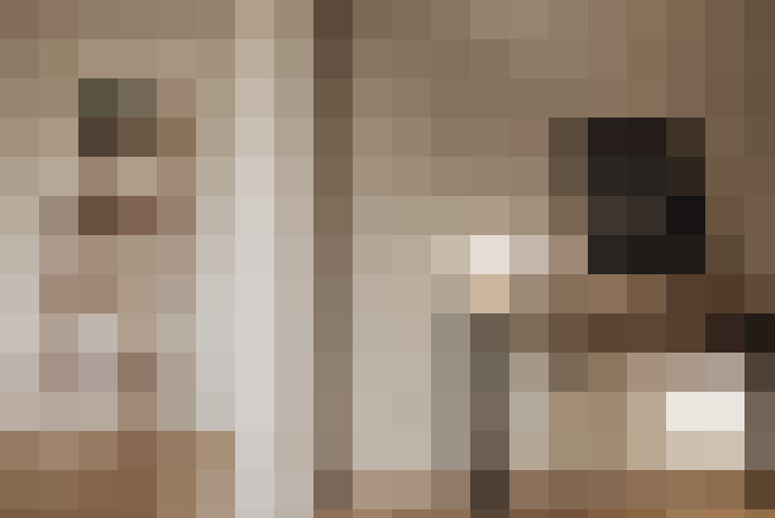  / #14