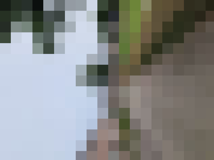  / #27