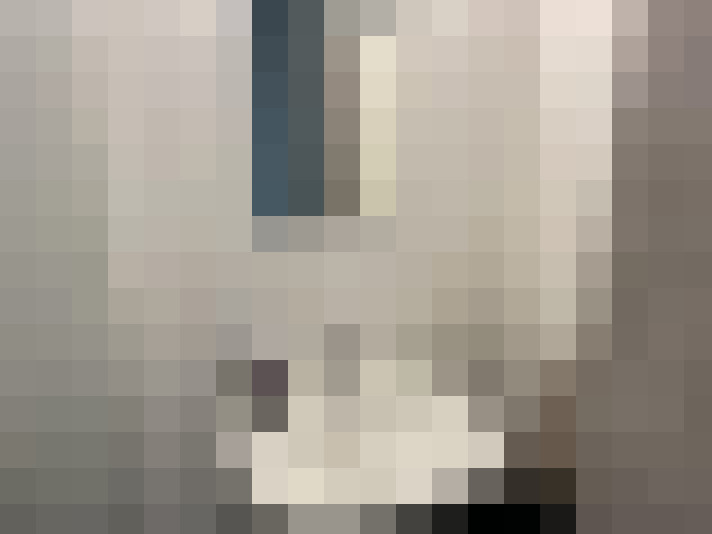  / #15