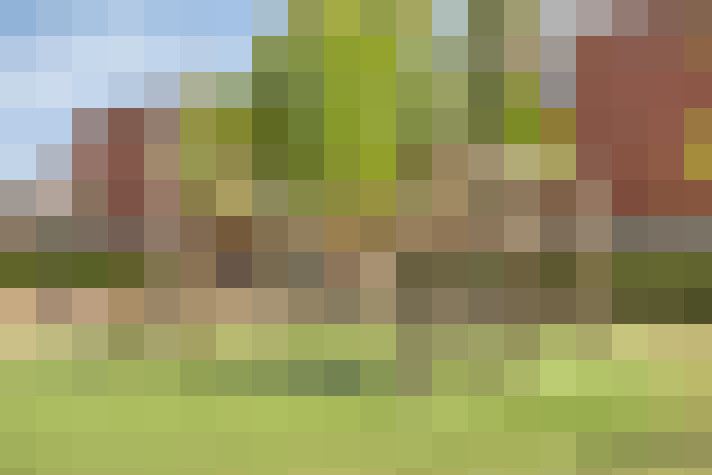  / #16