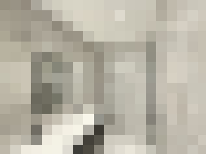  / #27