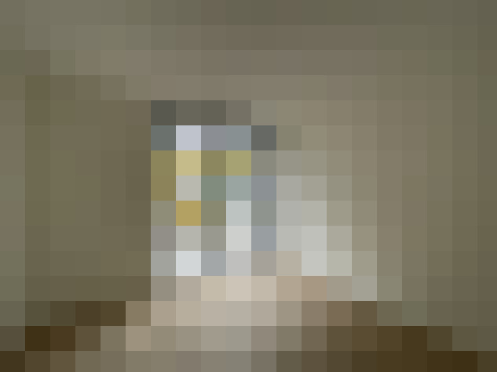  / #11