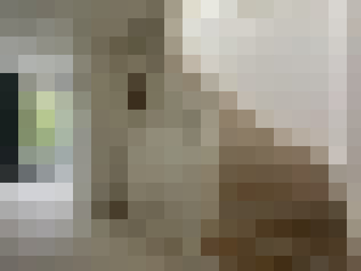  / #16