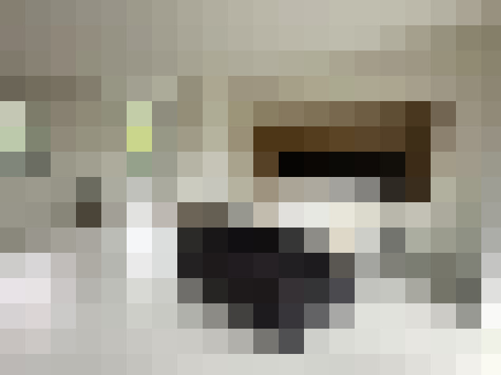  / #24