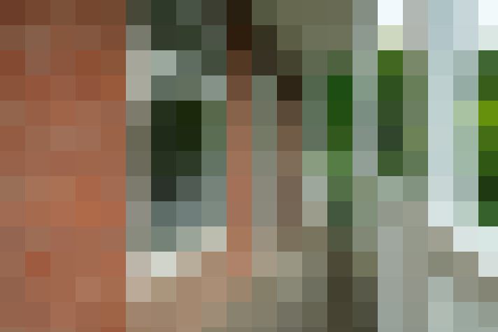  / #61