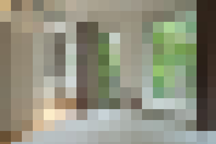  / #43