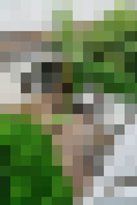  / #63