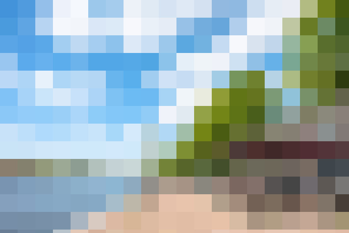  / #66