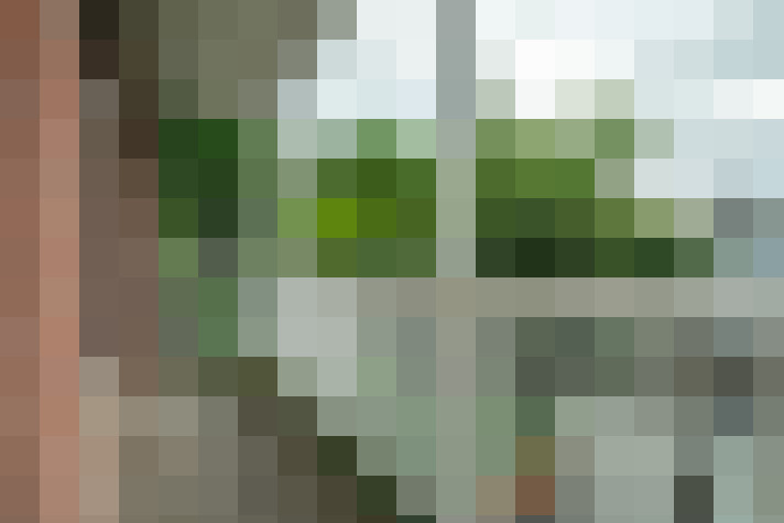  / #62
