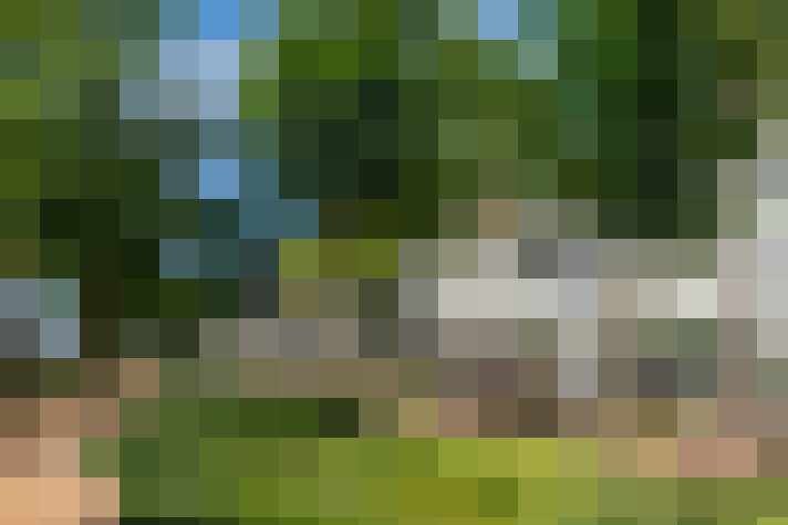  / #67