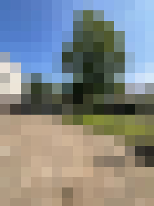  / #7