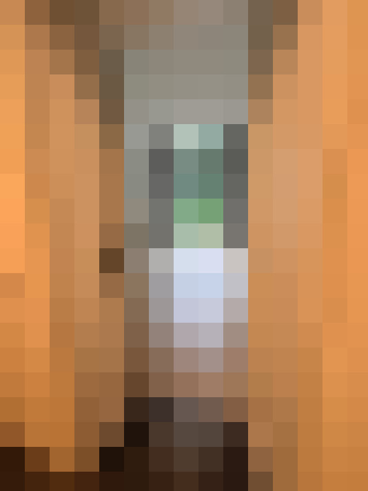  / #6