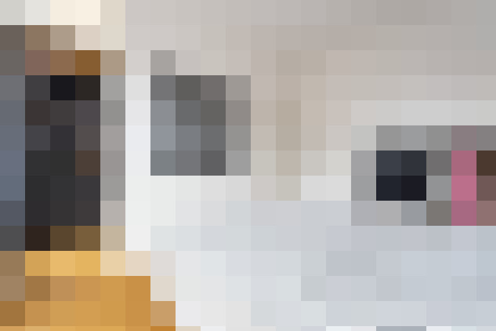  / #12