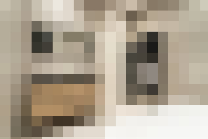  / #16