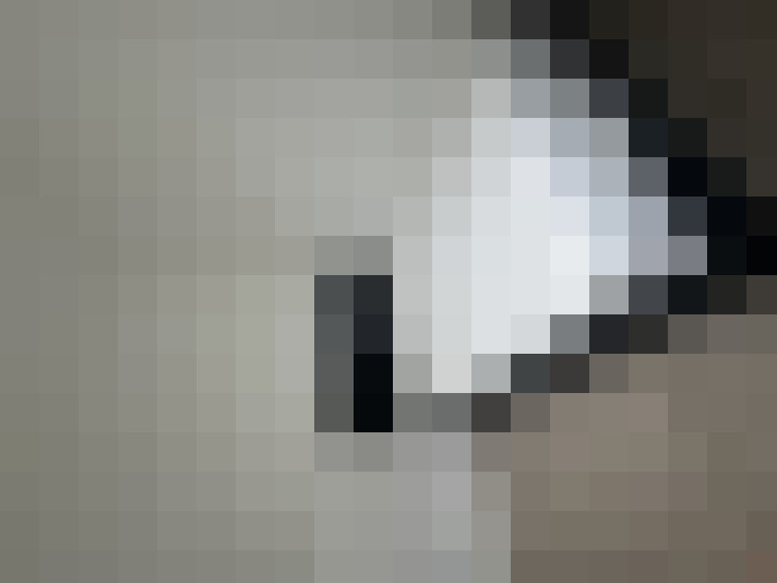  / #13