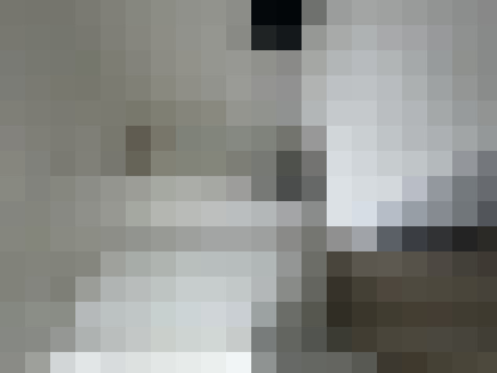  / #14