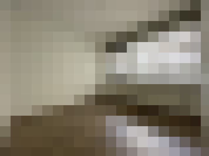  / #25