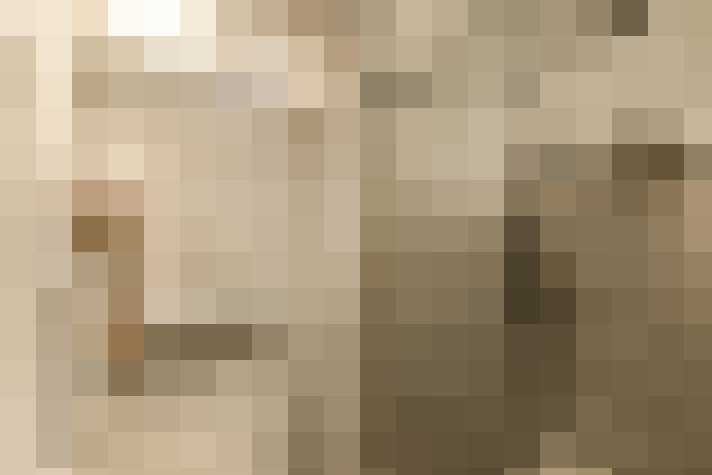  / #24