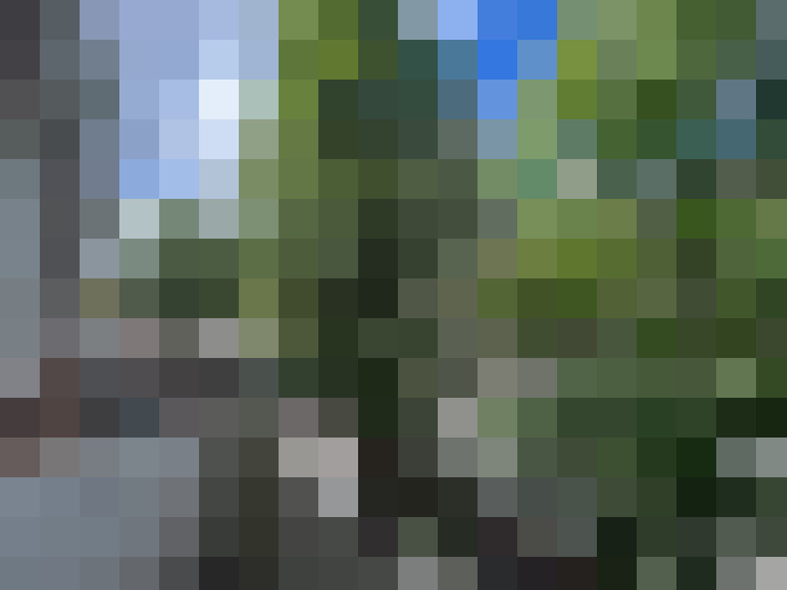  / #13
