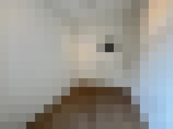  / #21