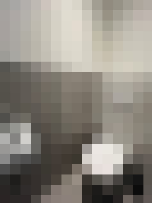  / #15