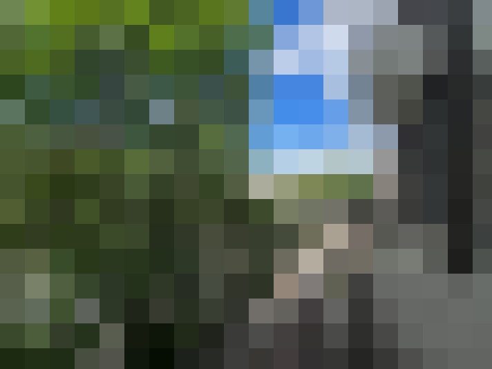 / #14
