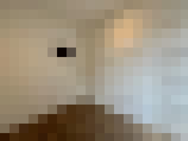  / #22