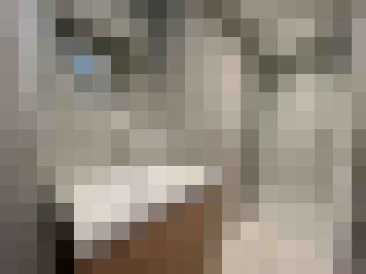  / #16