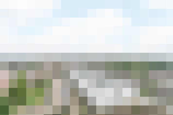  / #16