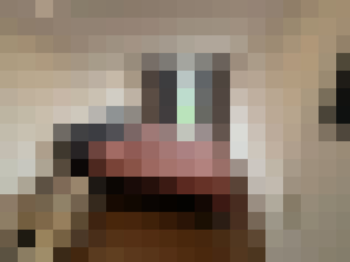  / #12