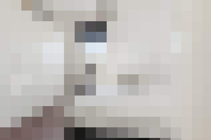  / #34