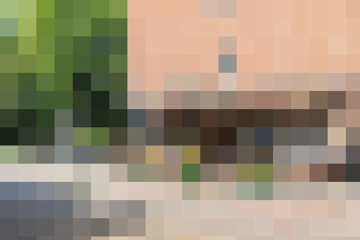  / #53