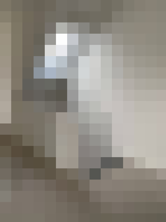  / #22