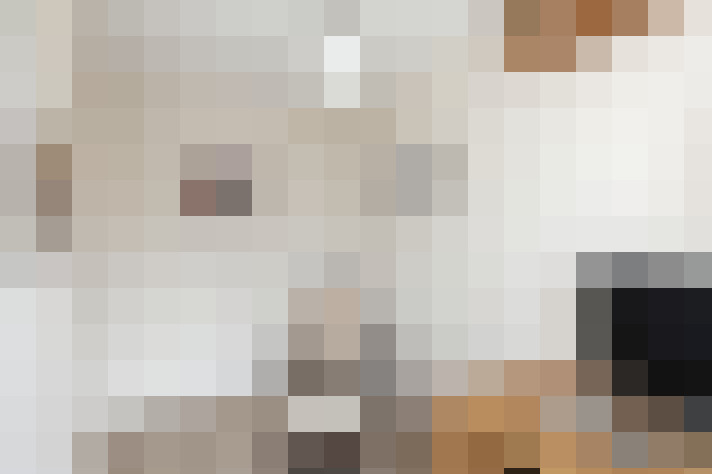  / #15