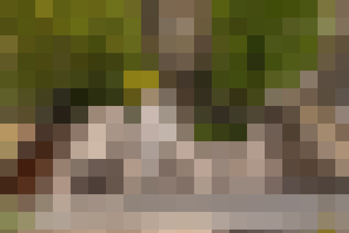  / #71