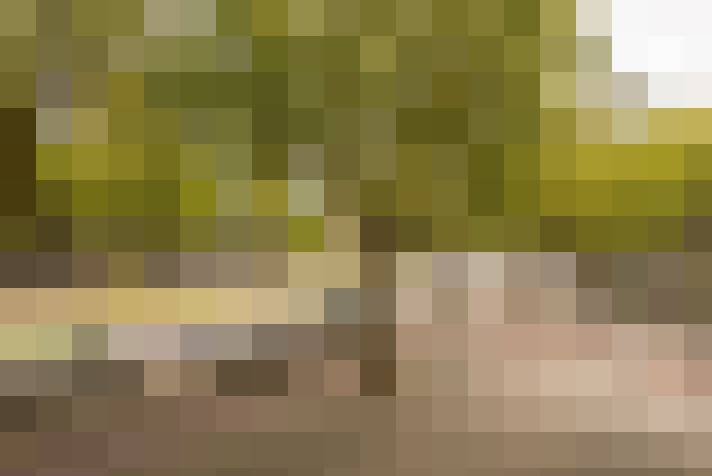  / #19