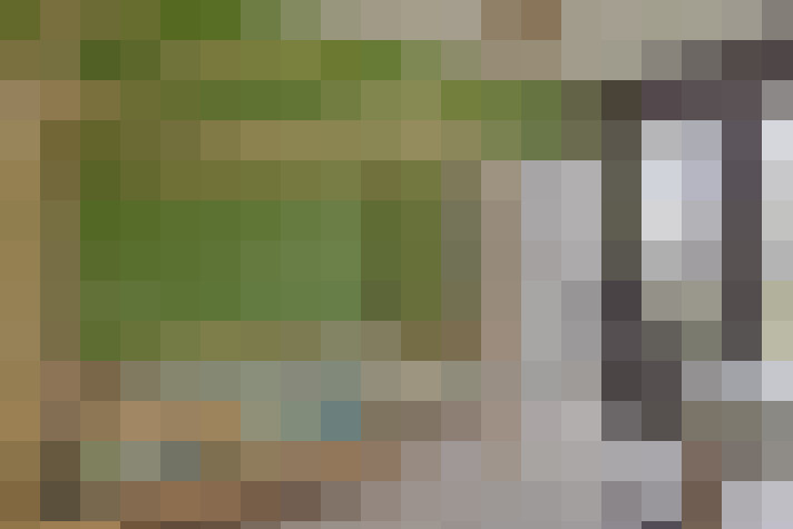  / #16