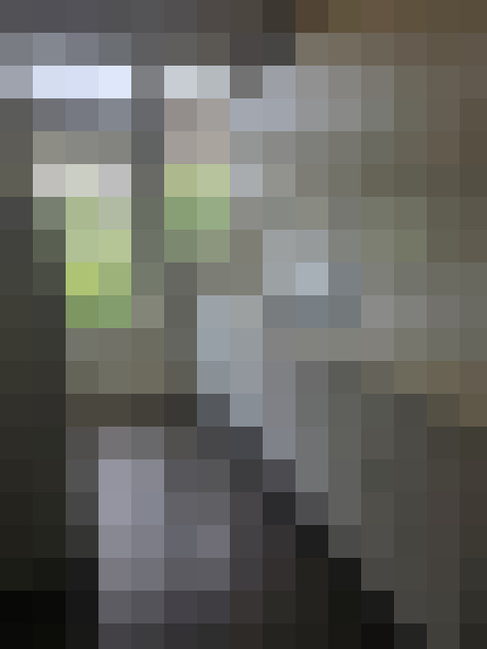 / #15