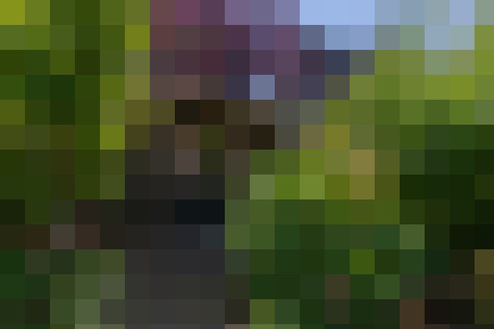  / #17