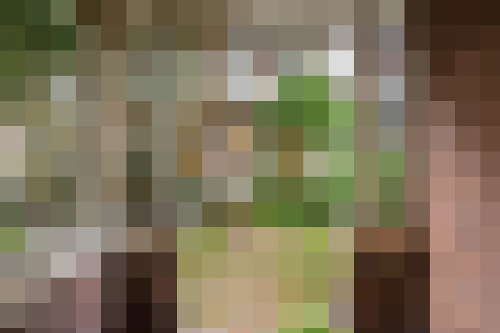  / #17