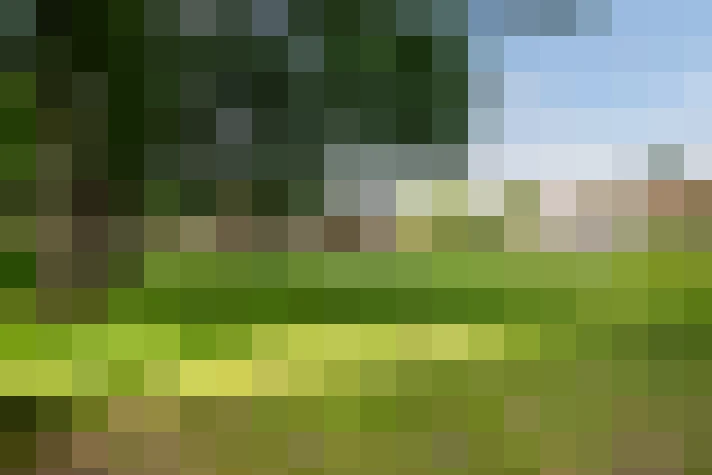  / #9