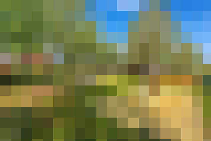  / #98