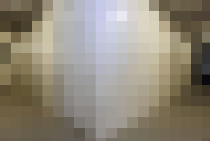  / #7