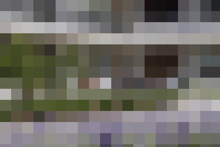  / #13