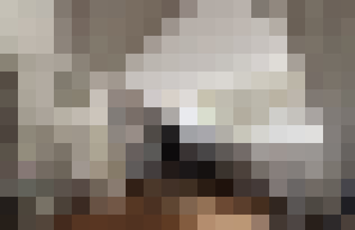  / #21